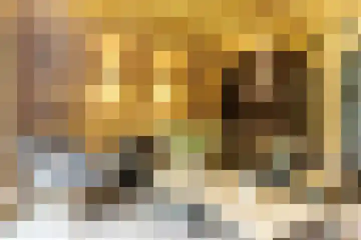 Henri Viottastraat 9 Dieren thumbnail 25