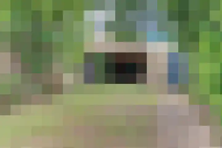 Henri Viottastraat 9 Dieren thumbnail 27