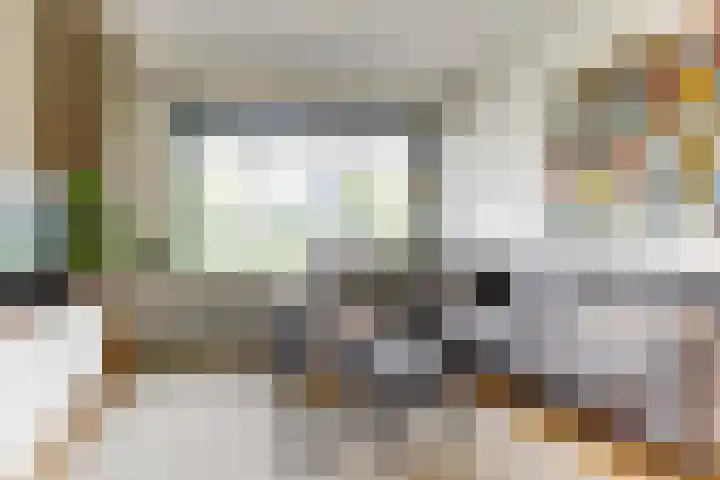 Henri Viottastraat 9 Dieren thumbnail 4