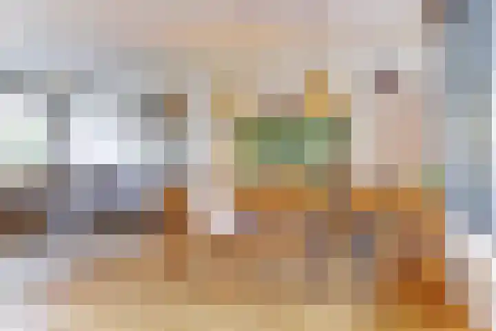 Henri Viottastraat 9 Dieren thumbnail 7