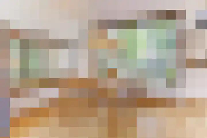 Henri Viottastraat 9 Dieren thumbnail 8