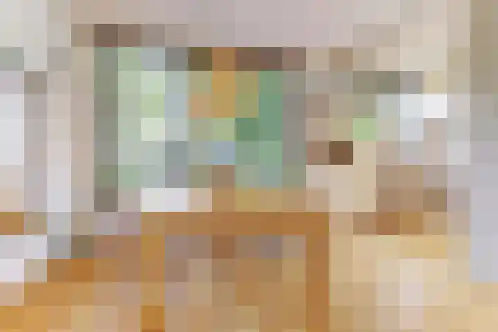 Henri Viottastraat 9 Dieren thumbnail 9