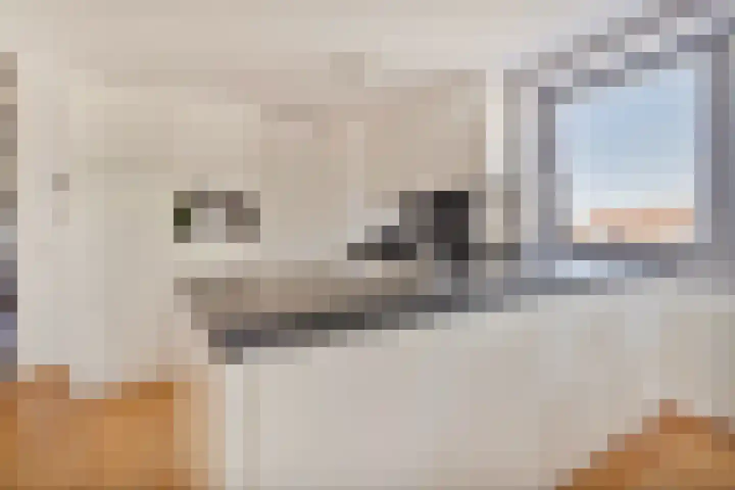 Henri Weltersstraat 68 11 Sittard thumbnail 7
