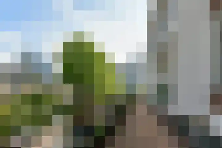 Henri Zagwijnstraat 4 1 Amsterdam thumbnail 5