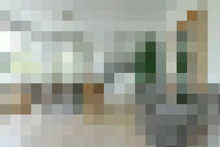 Henri Zagwijnstraat 4 1 Amsterdam thumbnail 7