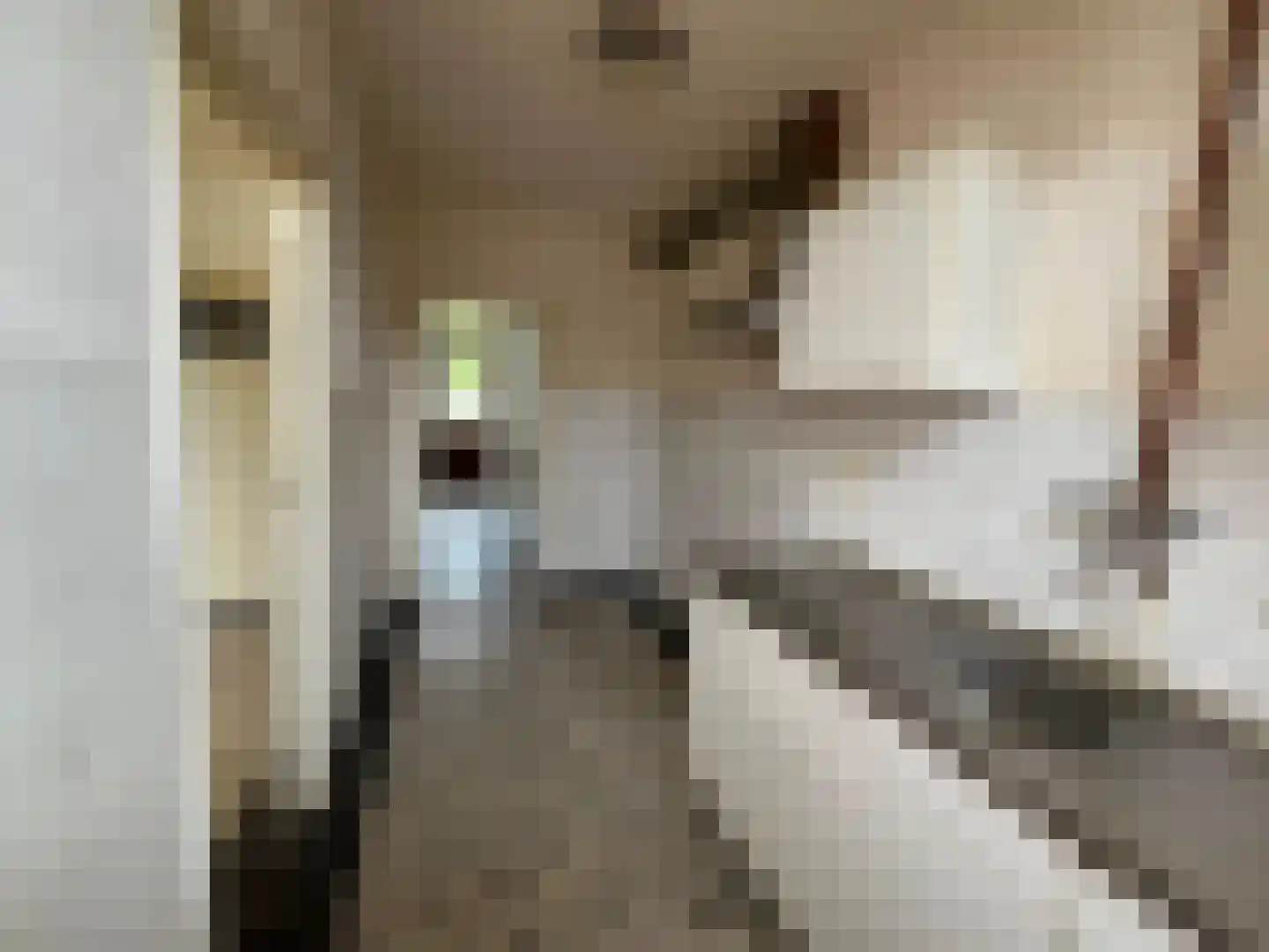 Henric de Cranestraat 10 Kuinre thumbnail 14