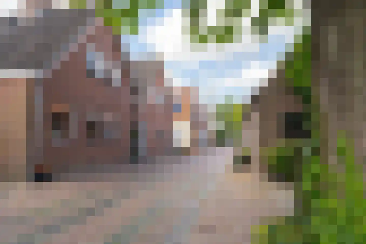 Henric de Cranestraat 167 Kuinre thumbnail 30