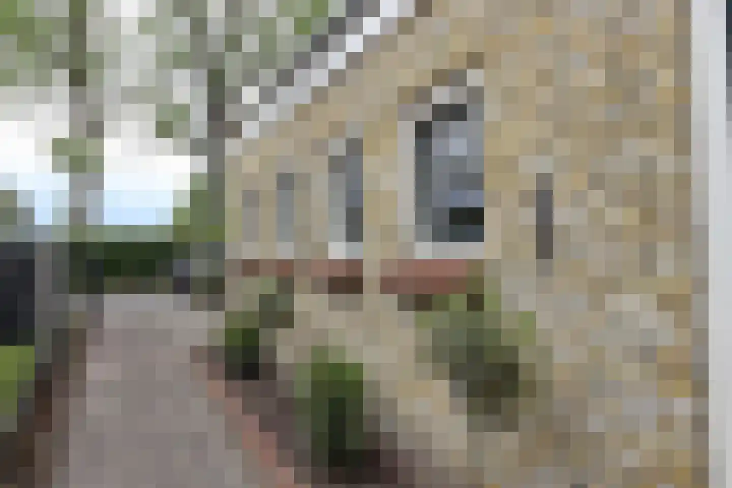 Henric de Cranestraat 175 Kuinre thumbnail 30