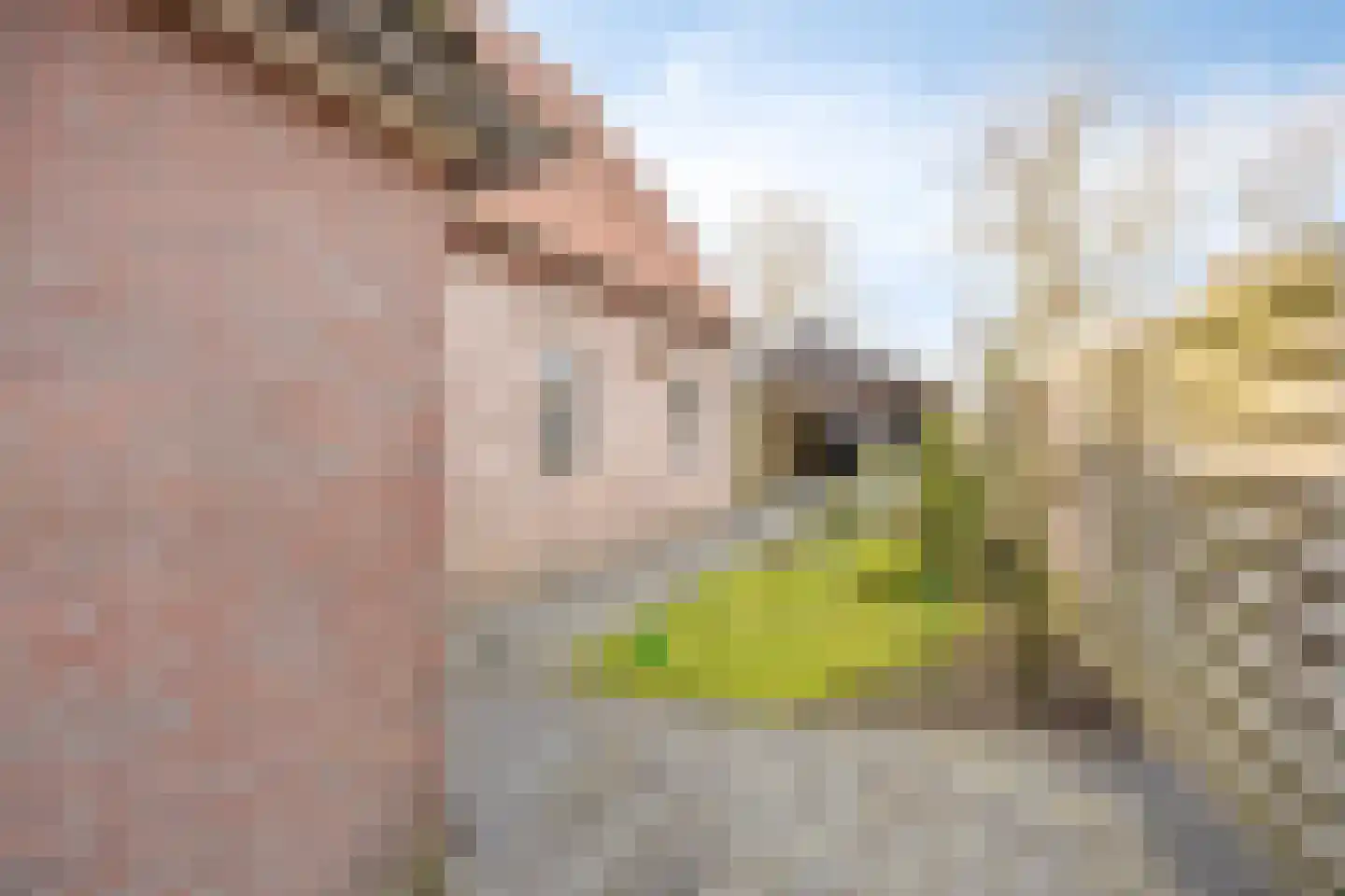 Henric de Cranestraat 49 Kuinre thumbnail 32