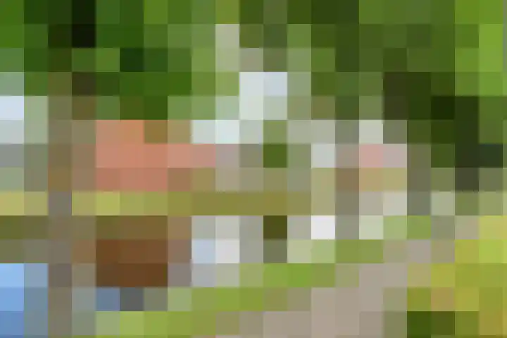 Henric de Cranestraat 6 Kuinre thumbnail 36