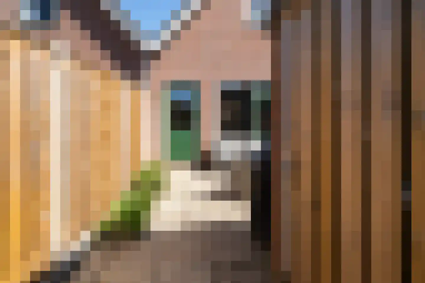 Henric de Cranestraat 87 Kuinre thumbnail 30
