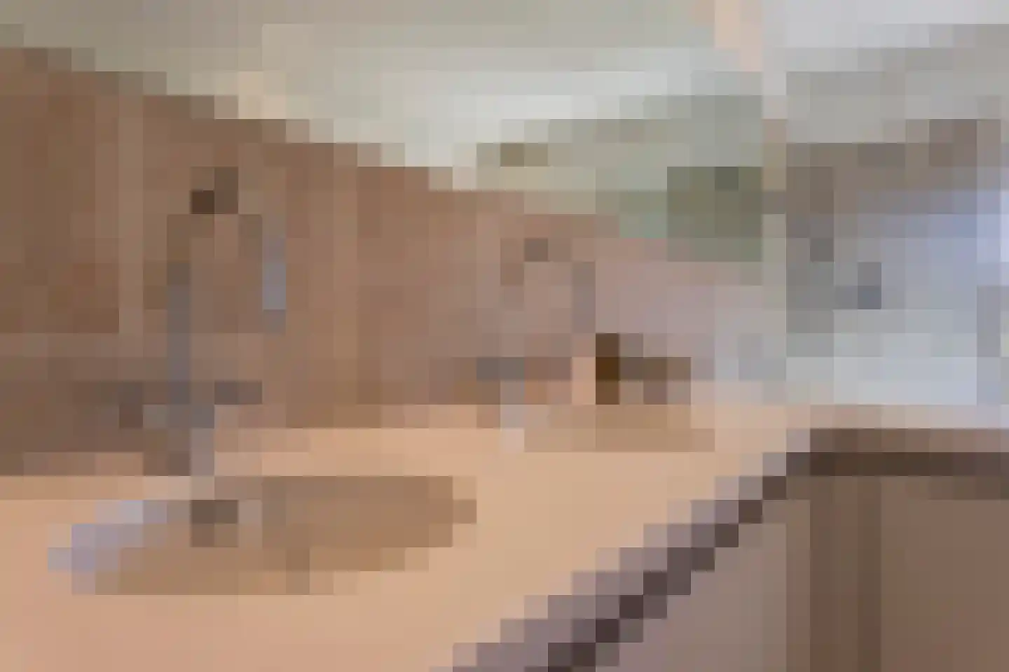 Henric van Veldekeplein 21 Maastricht thumbnail 10