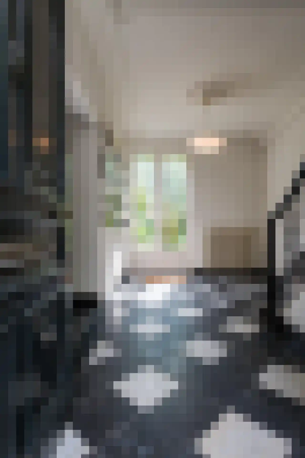 Henric van Veldekeplein 21 Maastricht thumbnail 4