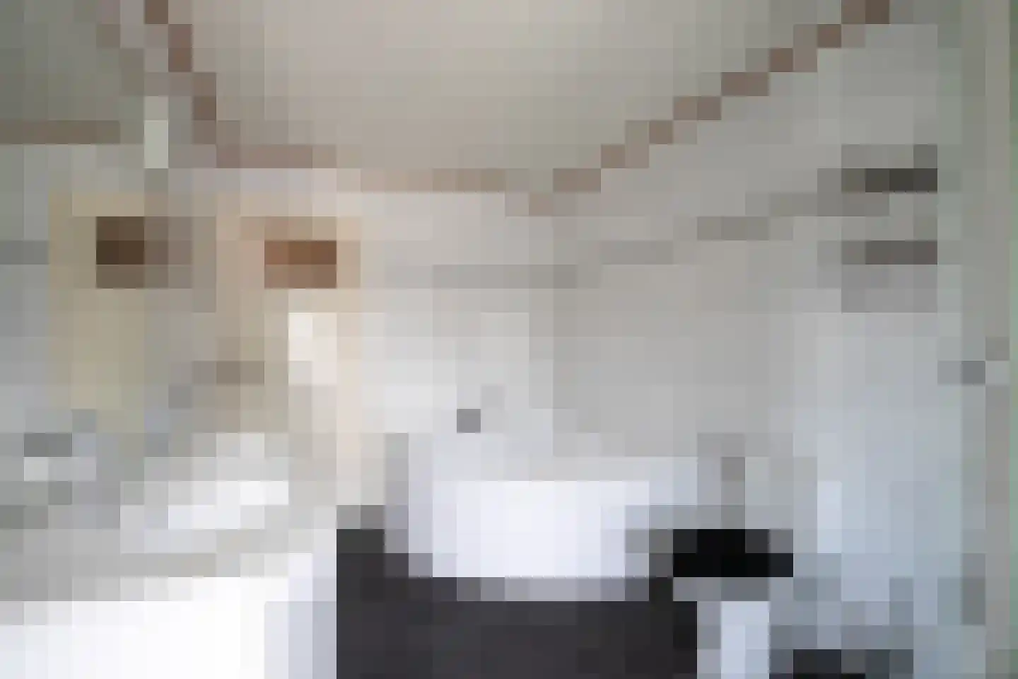 Henric van Veldekestraat 2 Sittard thumbnail 17