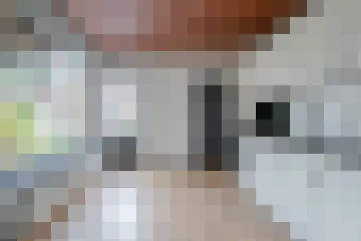 Henric van Veldekestraat 31 Sittard thumbnail 7