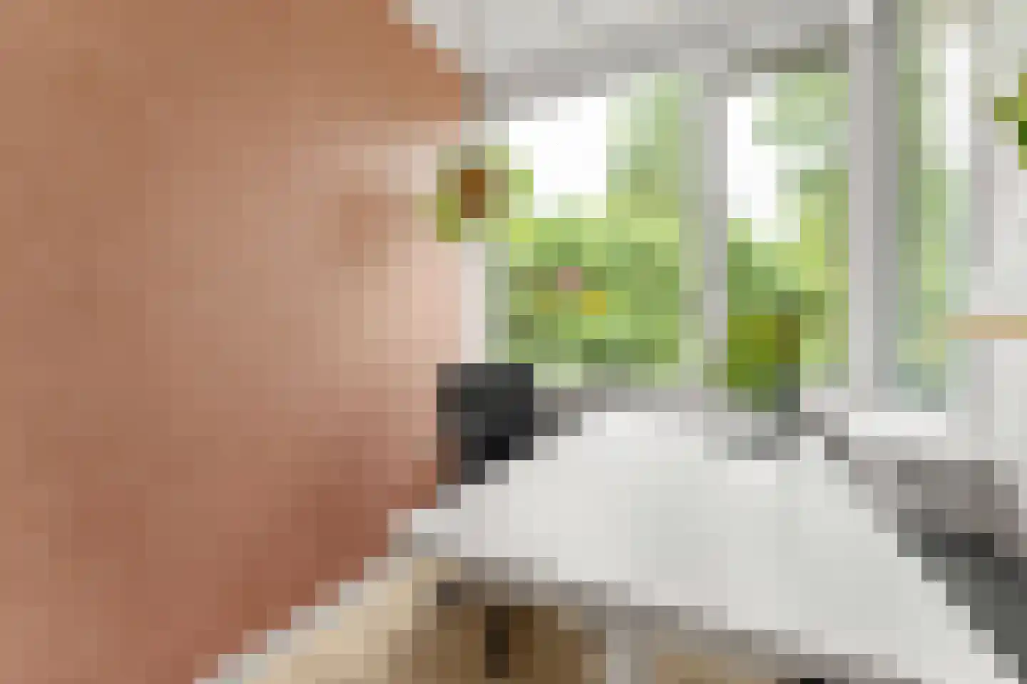 Henrica van Erpweg 27 De Bilt thumbnail 18