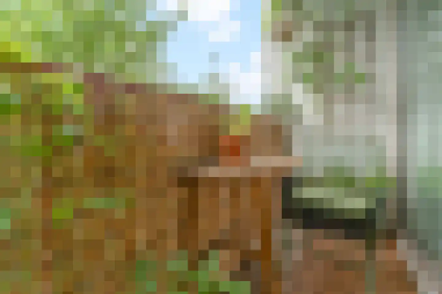 Henrica van Erpweg 27 De Bilt thumbnail 9