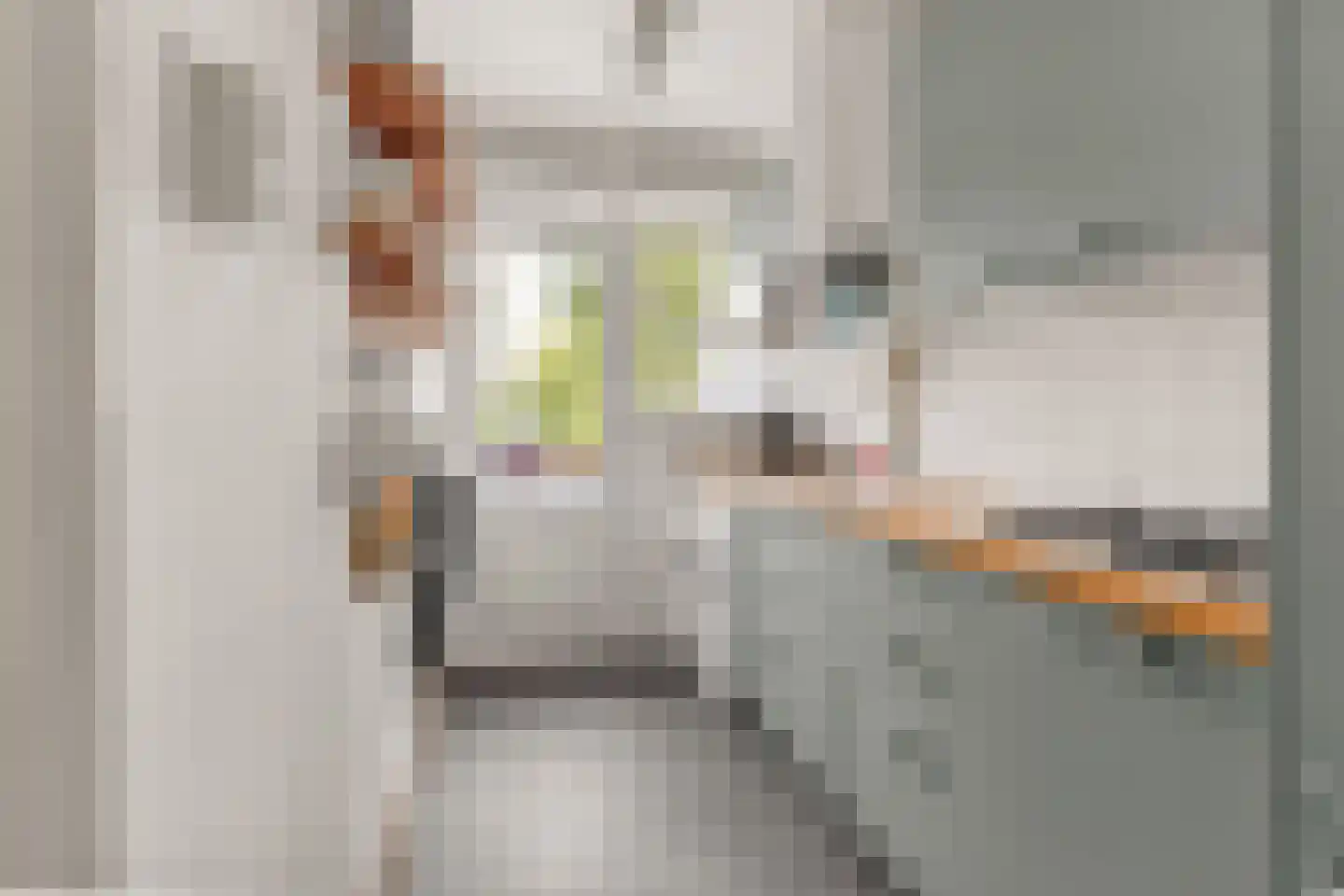 Henrica van Erpweg 29 De Bilt thumbnail 18