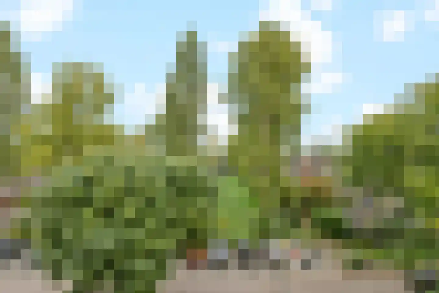 Henrica van Erpweg 29 De Bilt thumbnail 23
