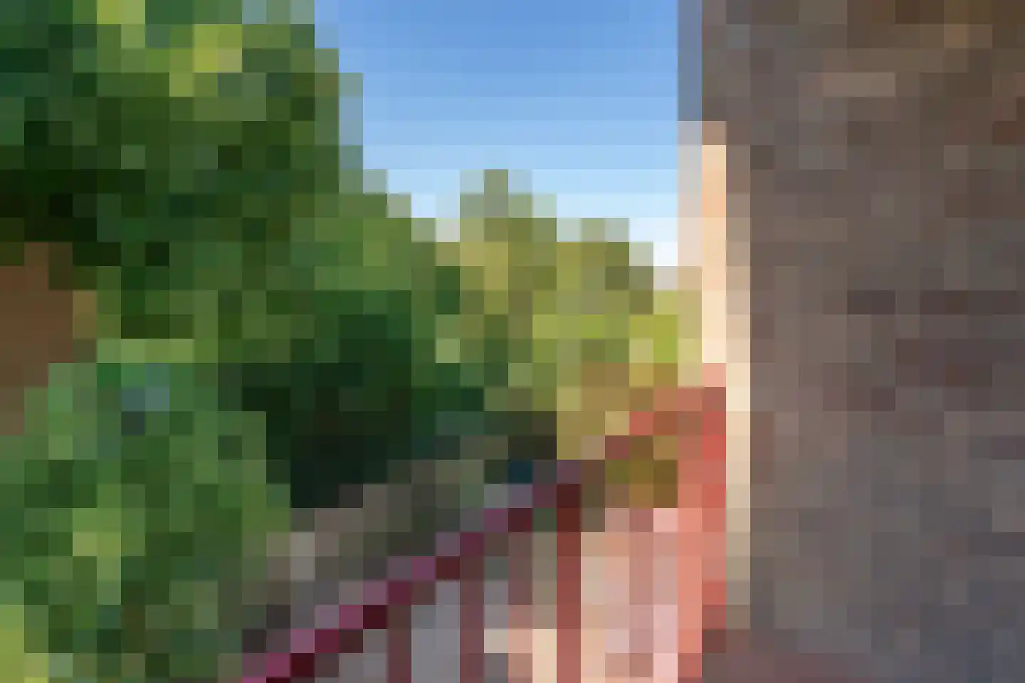 Henrica van Erpweg 3 De Bilt thumbnail 24