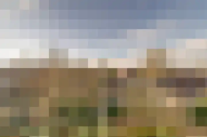 Henrica van Erpweg 41 De Bilt thumbnail 16