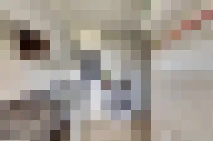 Henrica van Erpweg 41 De Bilt thumbnail 19