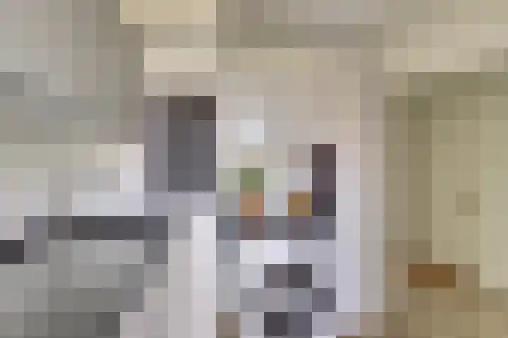 Henrica van Erpweg 41 De Bilt thumbnail 20