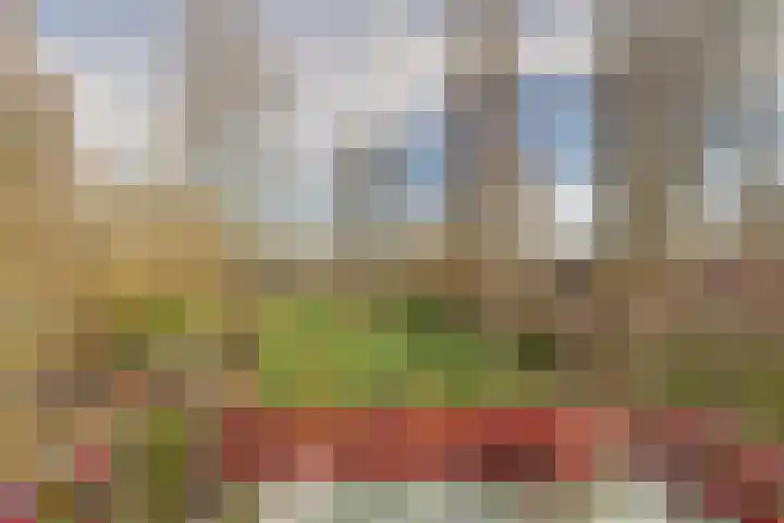 Henrica van Erpweg 41 De Bilt thumbnail 30