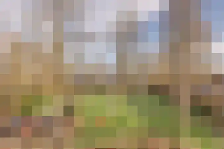 Henrica van Erpweg 41 De Bilt thumbnail 32
