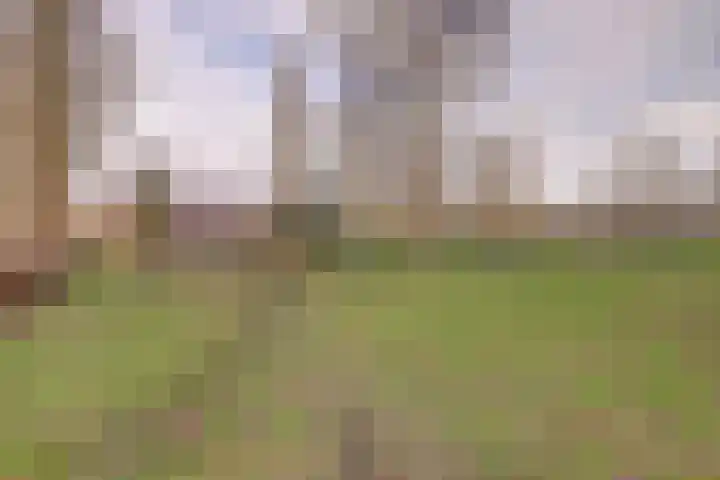 Henrica van Erpweg 41 De Bilt thumbnail 34