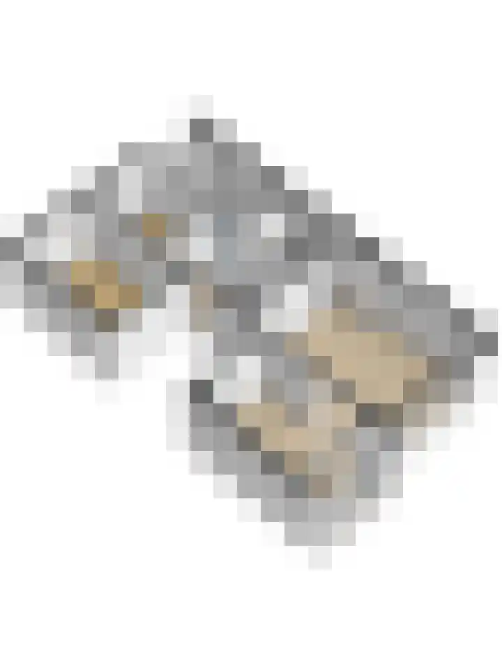 Henrica van Erpweg 41 De Bilt thumbnail 39