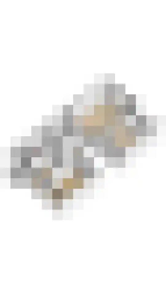 Henrica van Erpweg 47 De Bilt thumbnail 33