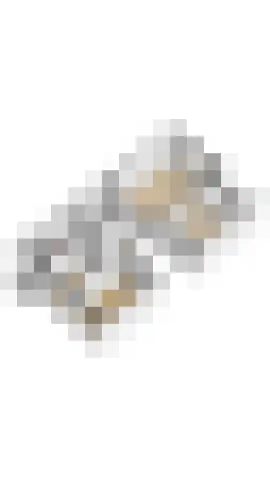 Henrica van Erpweg 47 De Bilt thumbnail 35