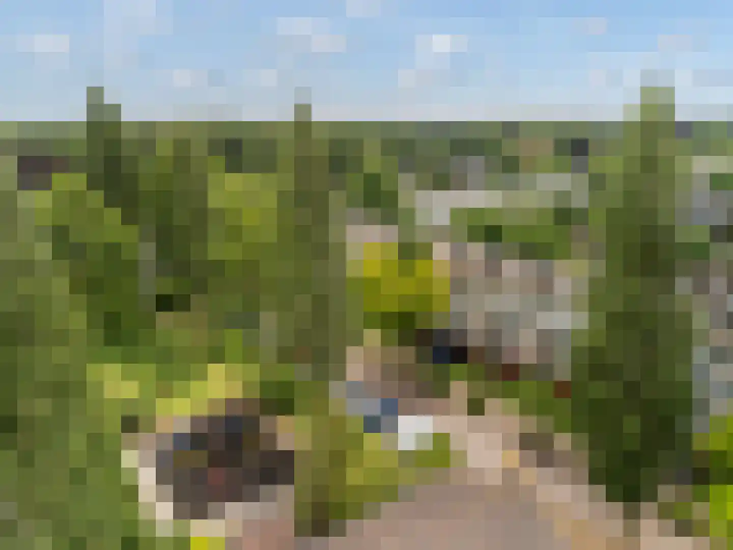 Henrica van Erpweg 51 De Bilt thumbnail 22
