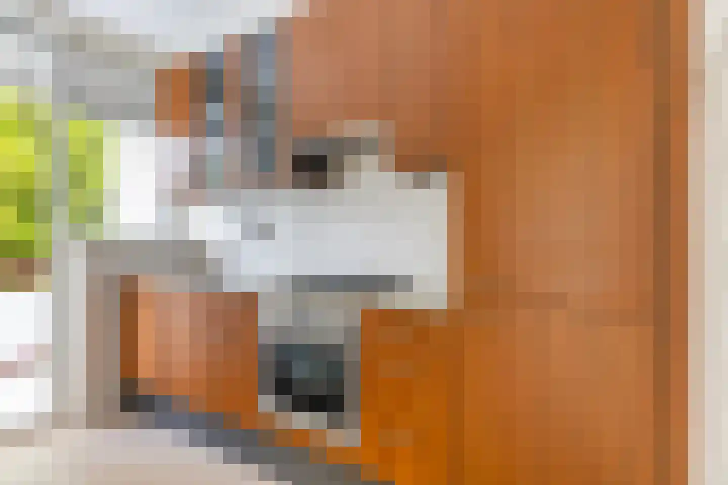 Henrica van Erpweg 51 De Bilt thumbnail 4