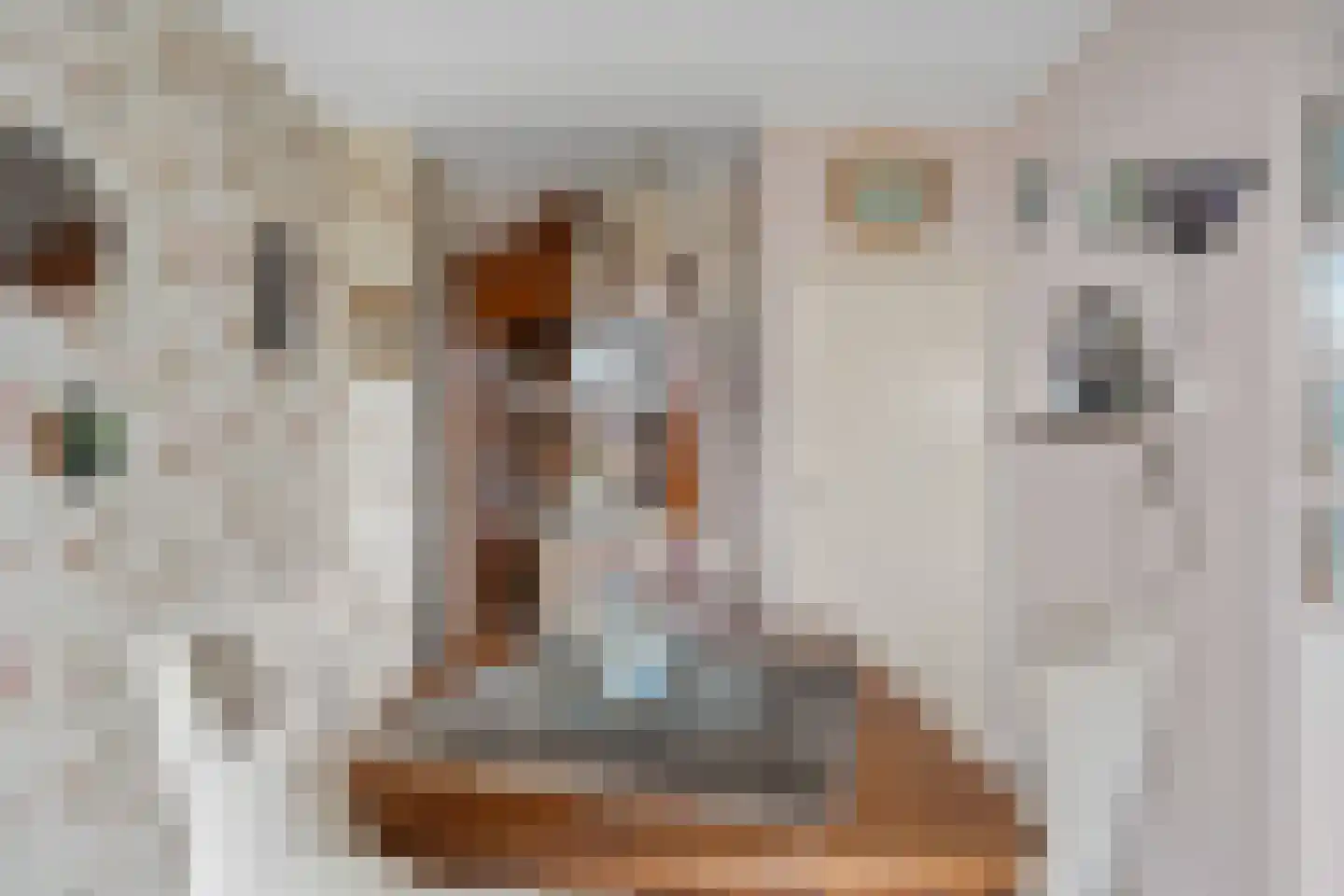 Henrica van Erpweg 67 De Bilt thumbnail 11