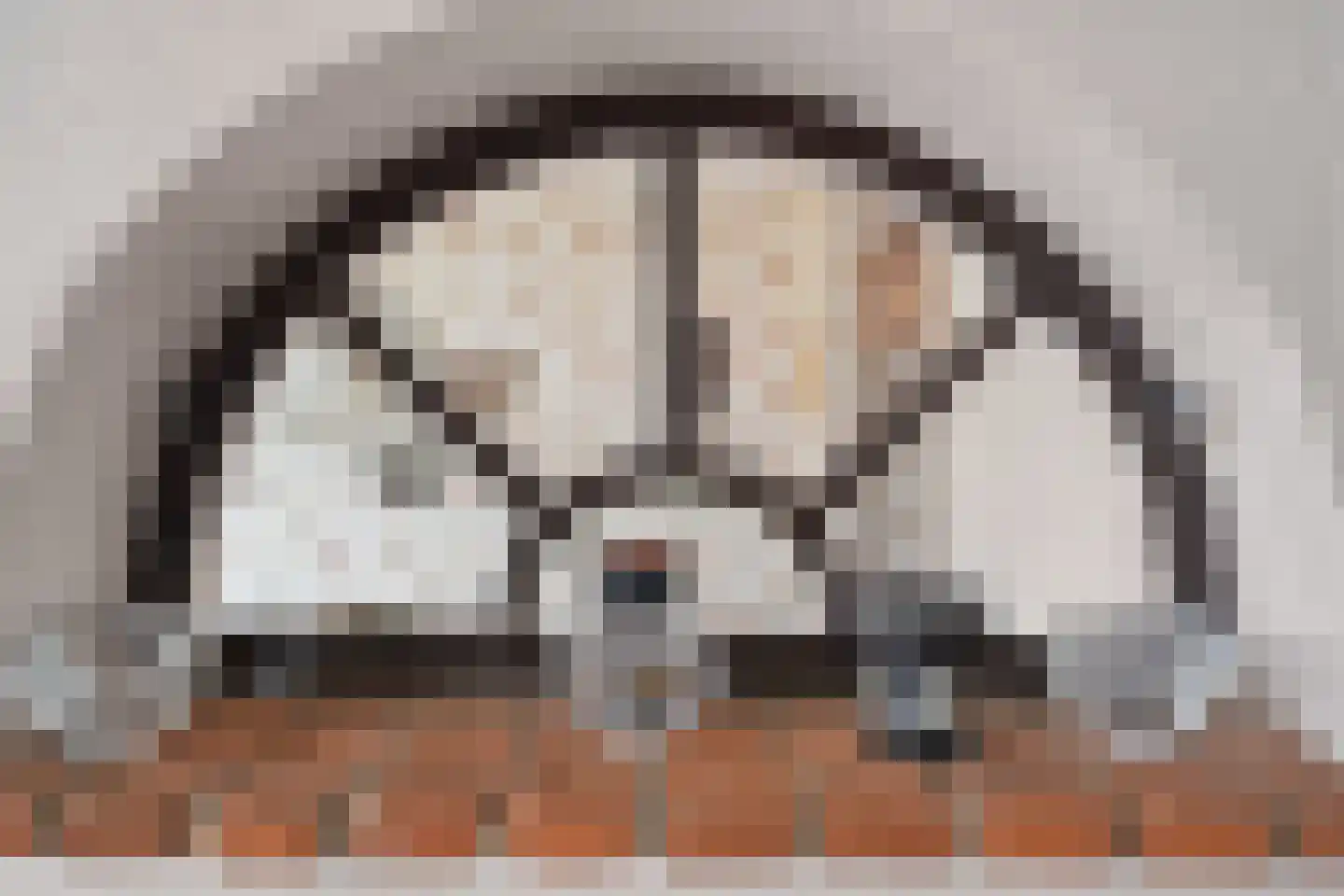 Henrica van Erpweg 67 De Bilt thumbnail 13