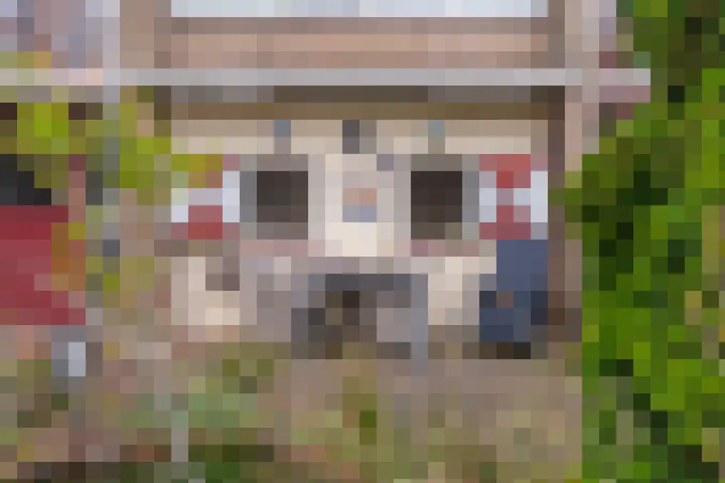 Henrica van Erpweg 67 De Bilt thumbnail 16