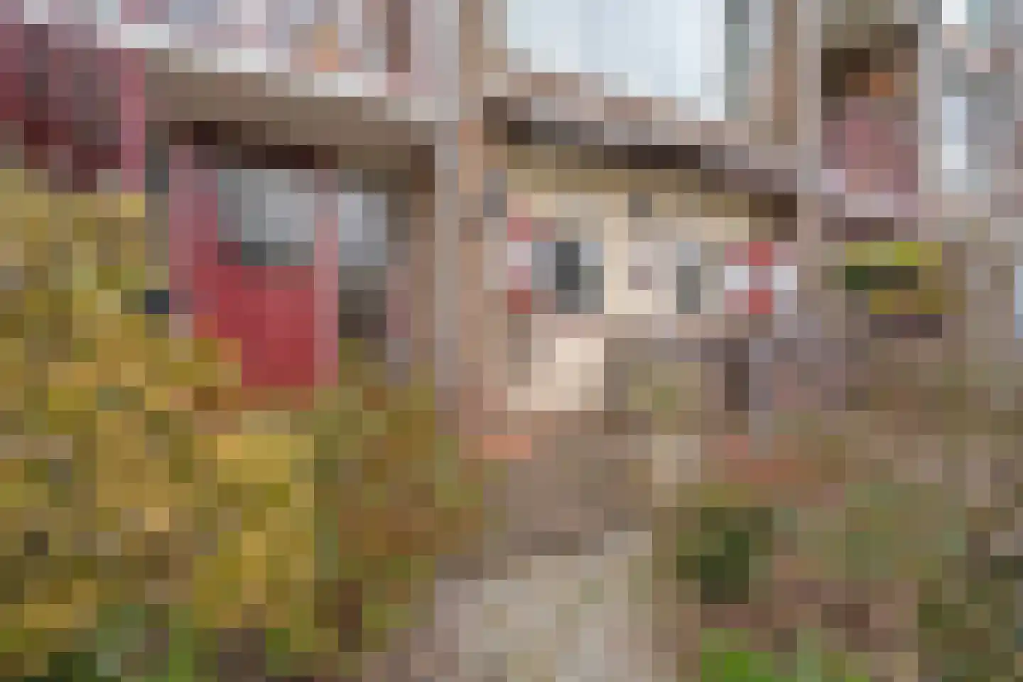 Henrica van Erpweg 67 De Bilt thumbnail 17