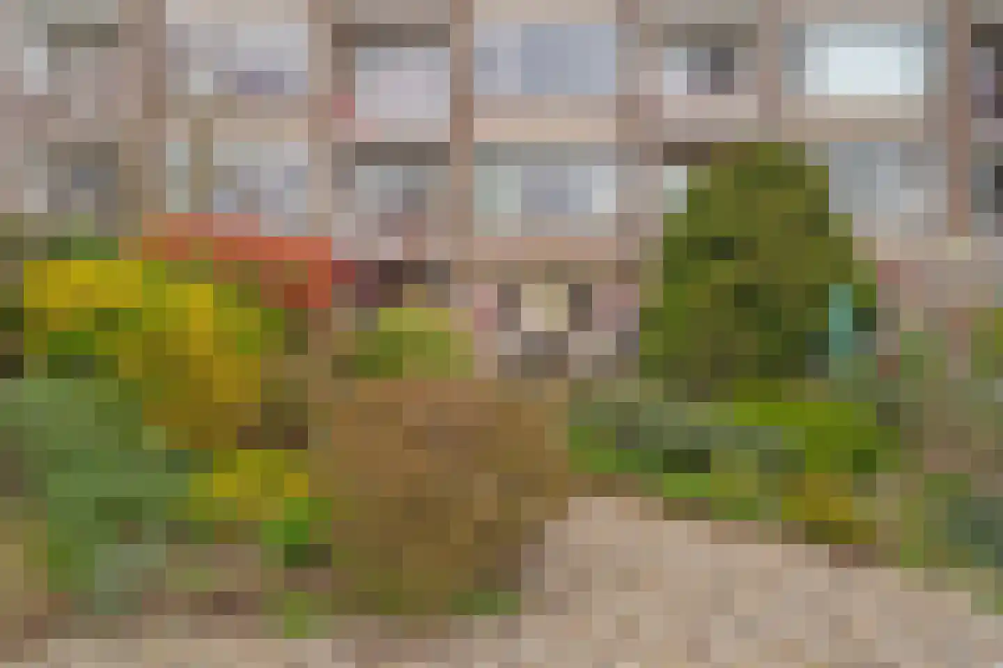 Henrica van Erpweg 67 De Bilt thumbnail 18