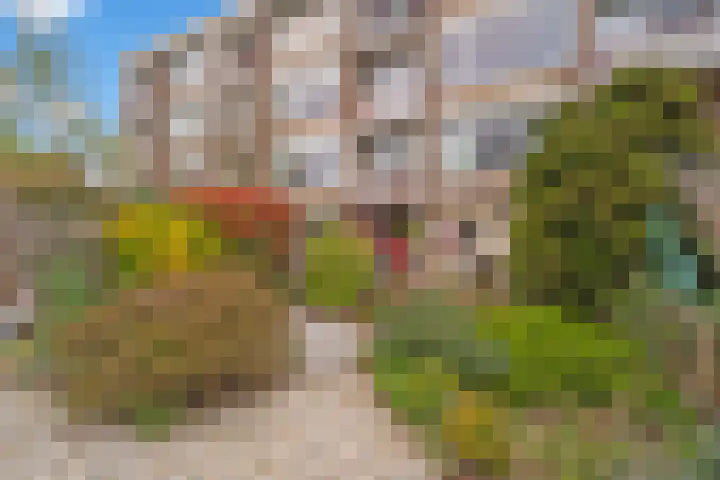 Henrica van Erpweg 67 De Bilt thumbnail 19