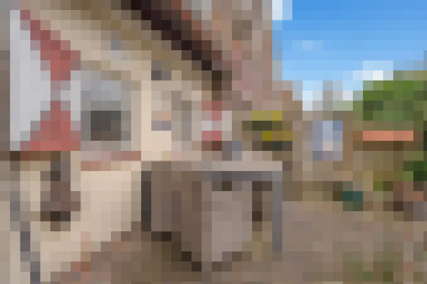 Henrica van Erpweg 67 De Bilt thumbnail 23