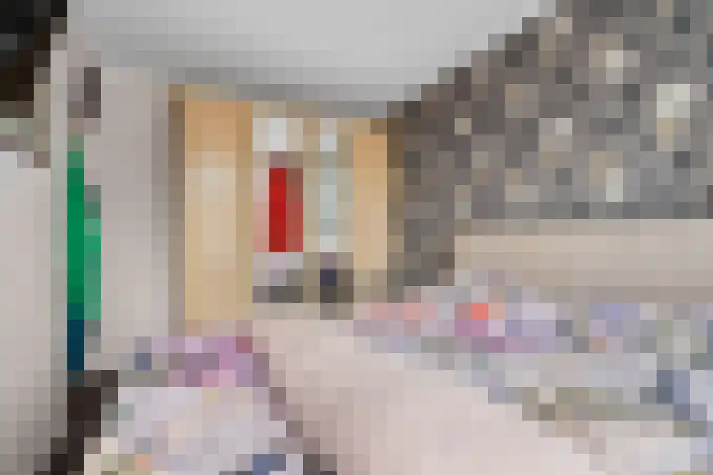 Henrica van Erpweg 67 De Bilt thumbnail 36