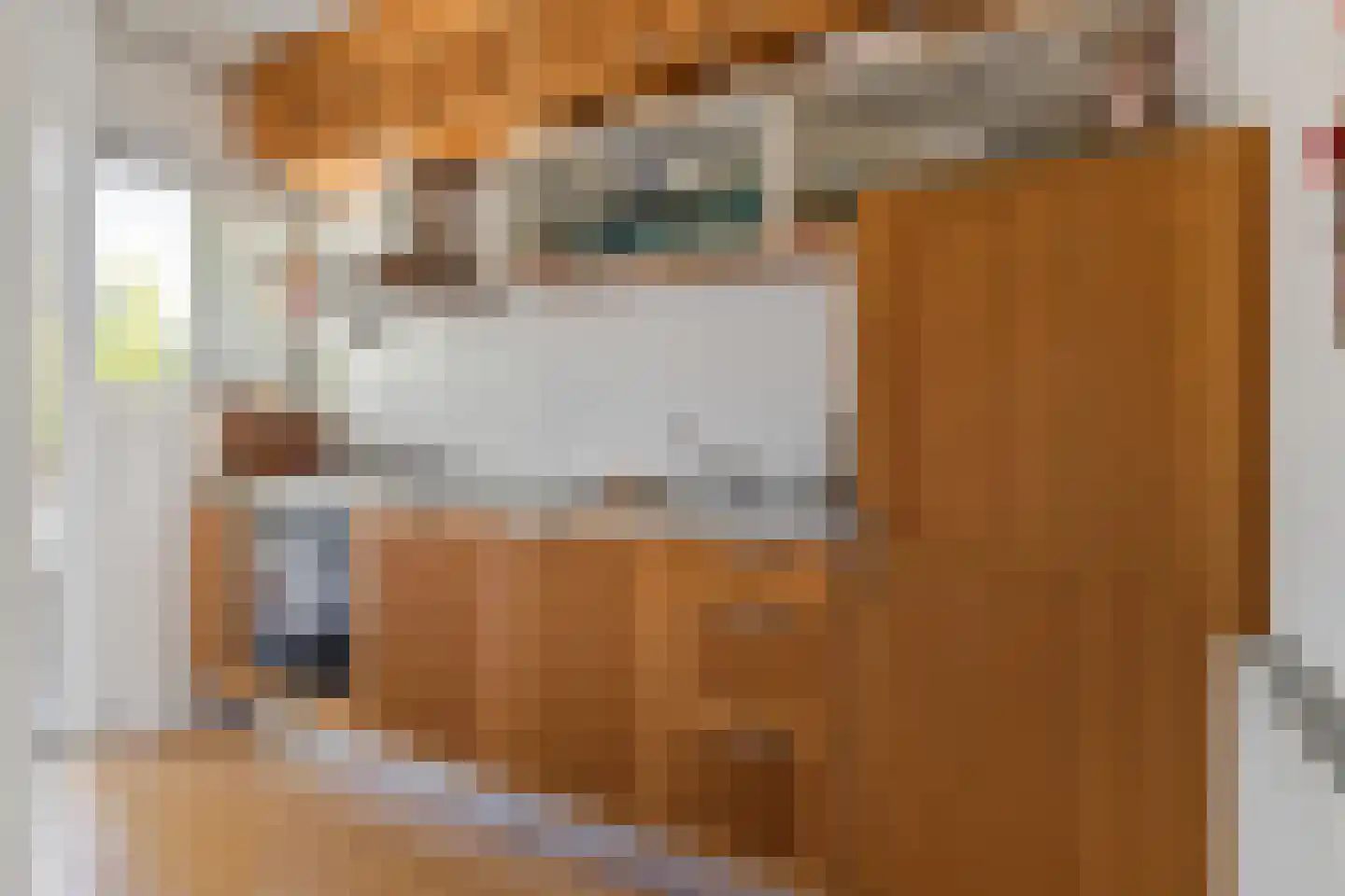 Henrica van Erpweg 73 De Bilt thumbnail 14