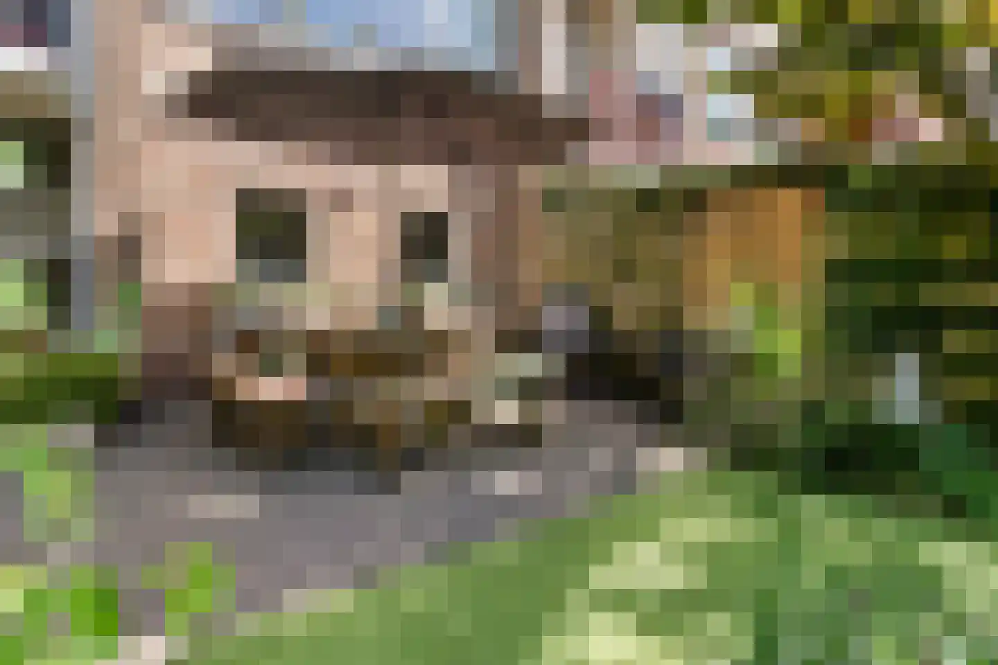 Henrica van Erpweg 73 De Bilt thumbnail 22