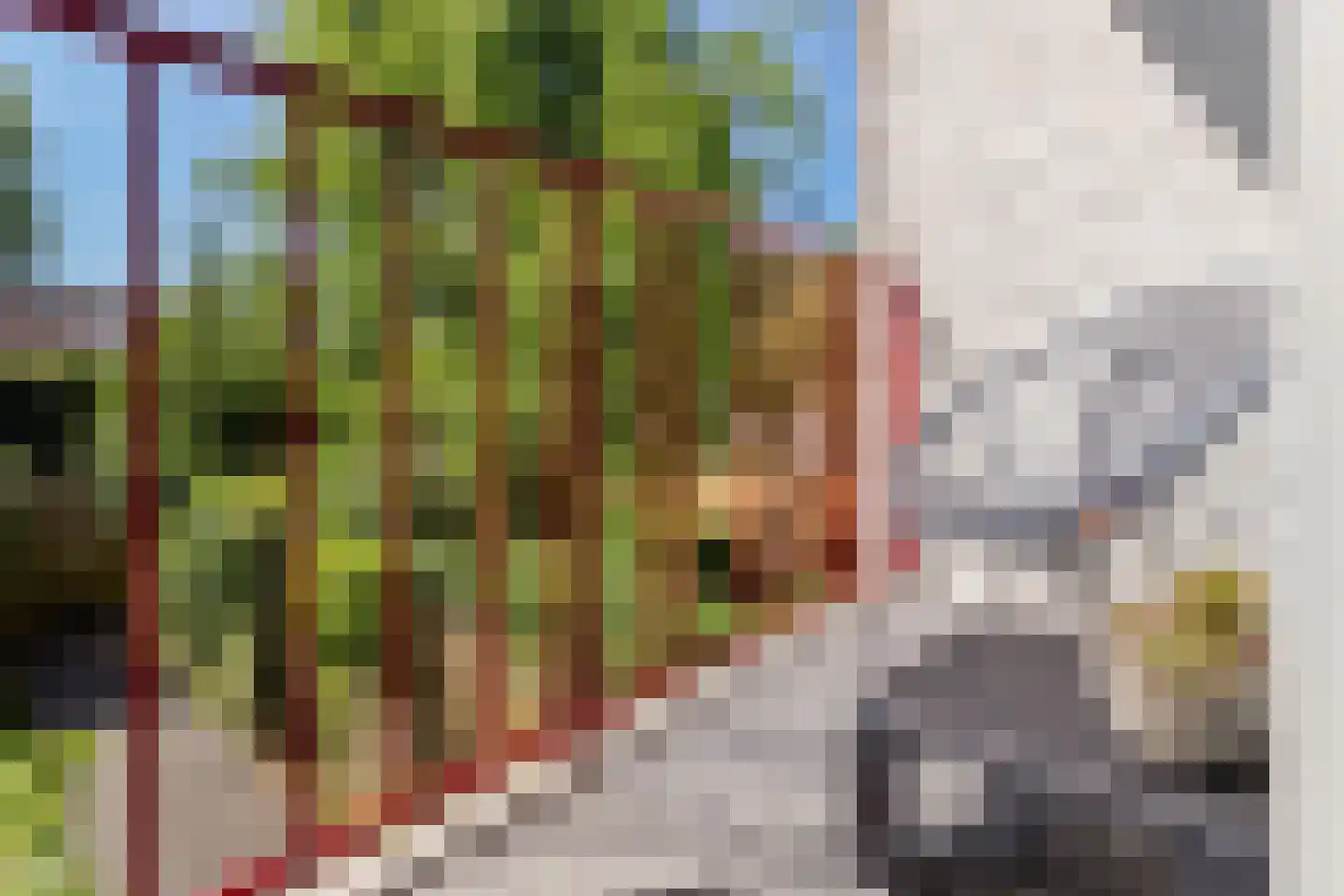 Henrica van Erpweg 73 De Bilt thumbnail 9