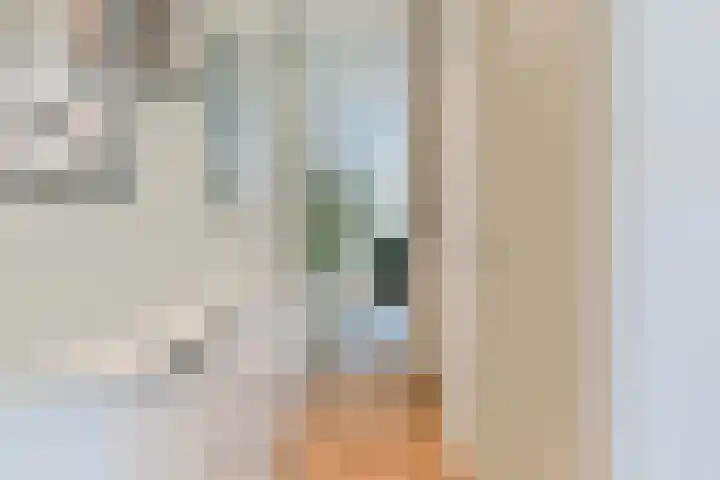 Henricapolder 3 Amersfoort thumbnail 20