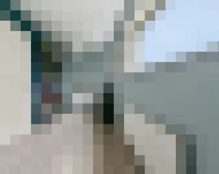 Henricapolder 3 Amersfoort thumbnail 37