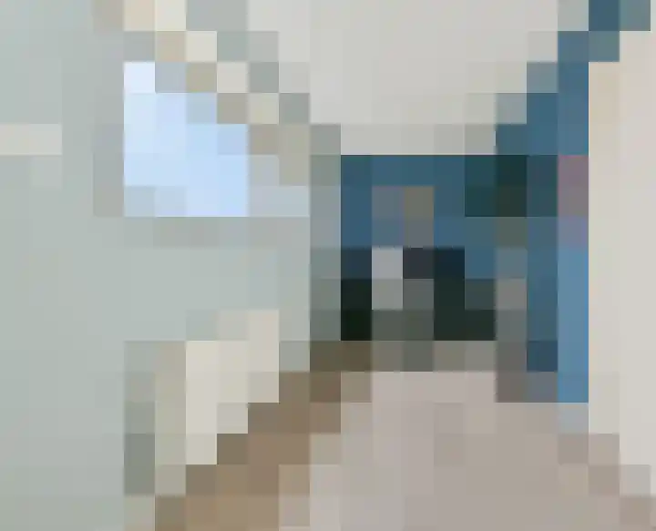 Henricapolder 3 Amersfoort thumbnail 38