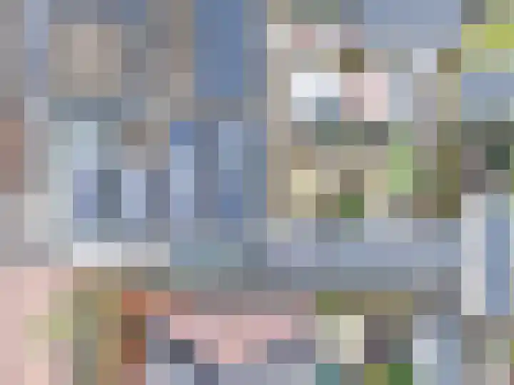 Henricapolder 3 Amersfoort thumbnail 43